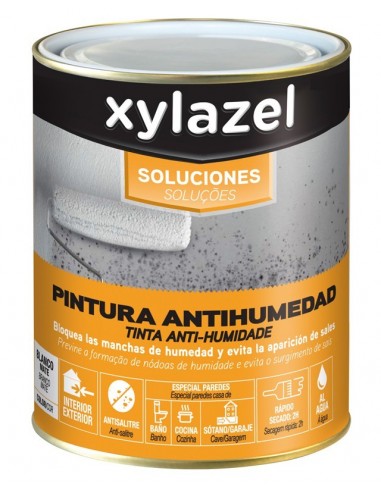 Pinturas antihumedad y antimoho -canalHOGAR