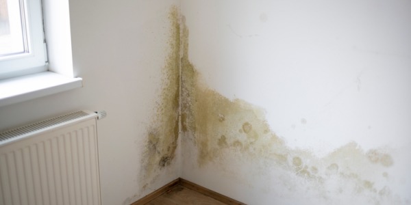 ¿Cómo quitar la humedad de la pared?