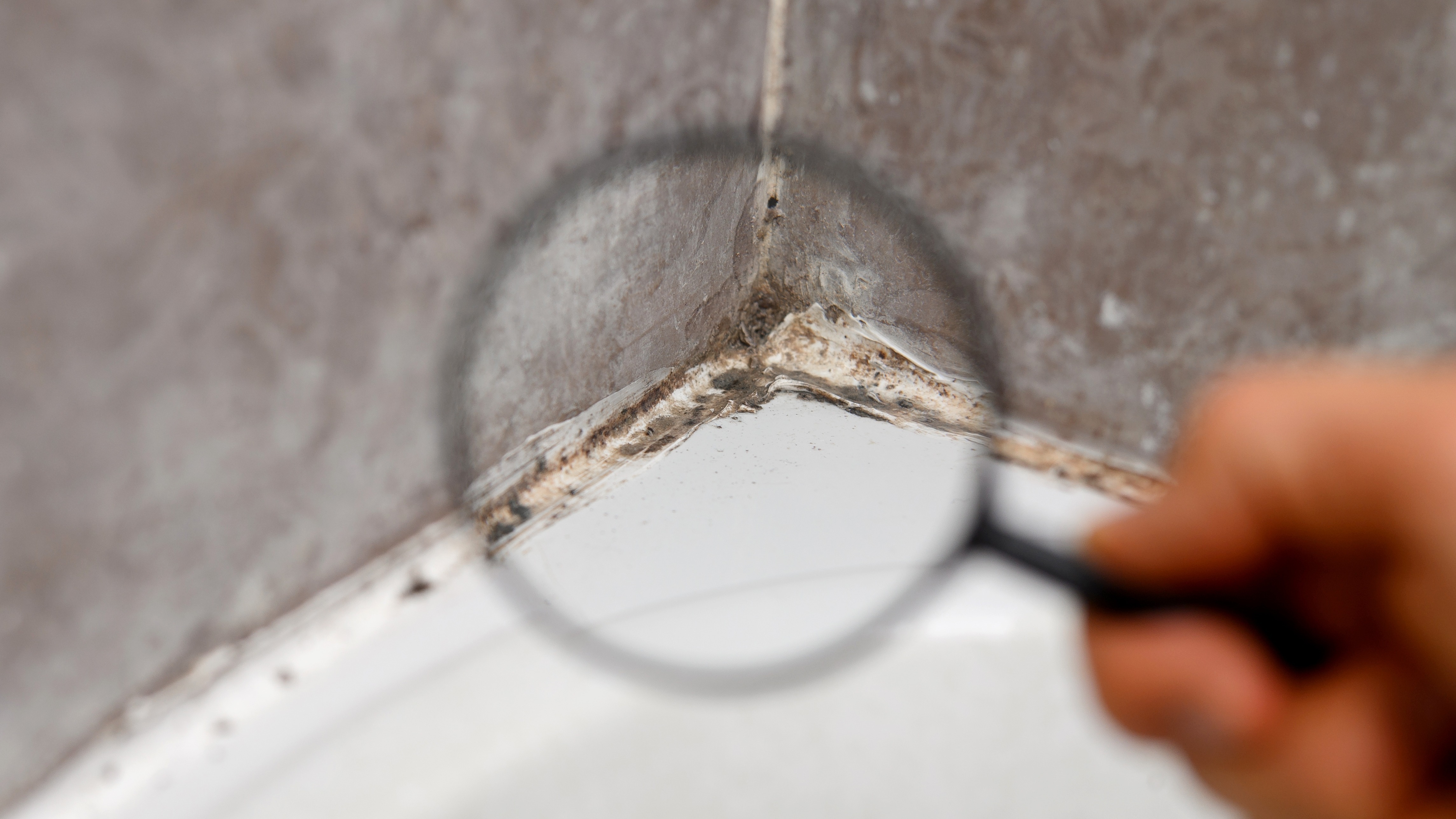 ¿Cómo quitar la humedad de la pared?